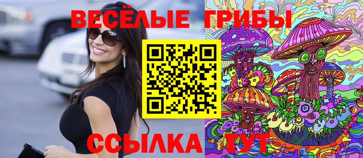 Галлюциногенные грибы прущие грибы  где можно купить   Коркино  Вход с VPN 